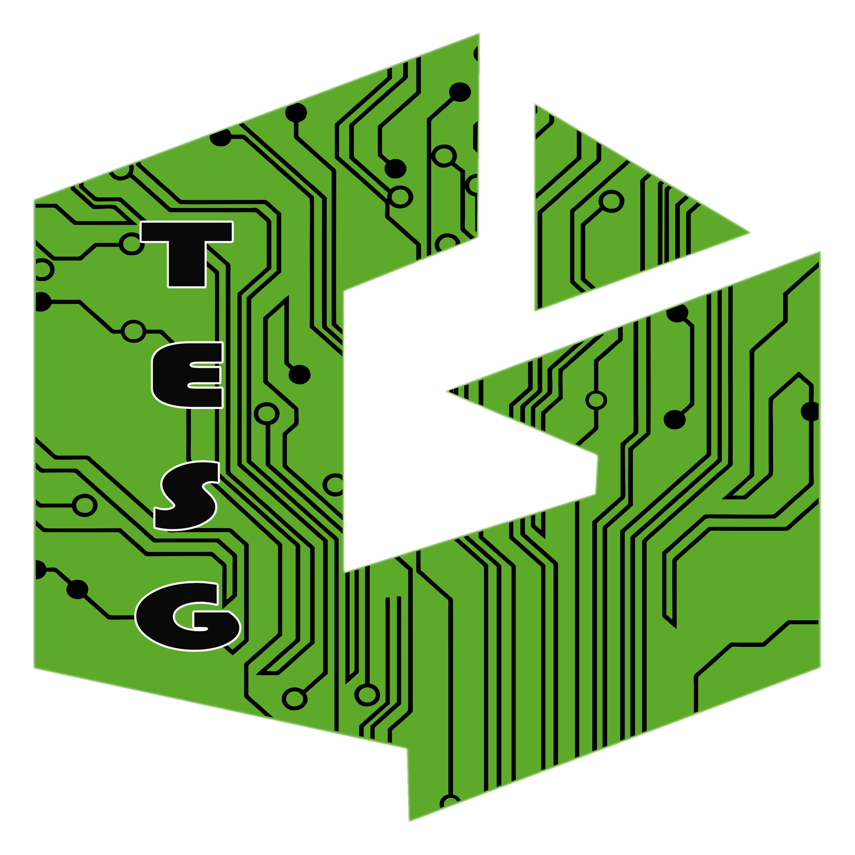Logo da TESG
